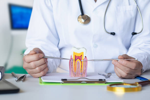 Best Emergency Dental Extractions in Fremont, IN